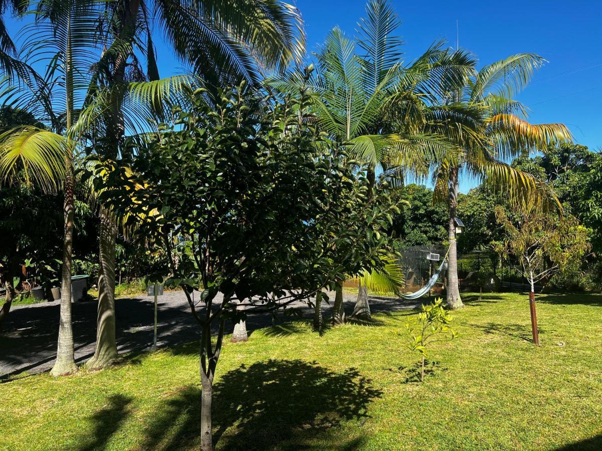 L'Escapade Creole Jacuzzi Privatif Bungalow Ananas Saint-Joseph Luaran gambar